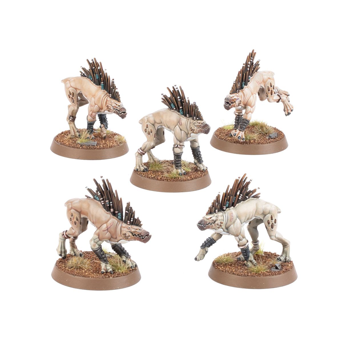 Kroot Hounds - Ta'u Empire